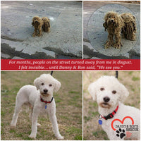 Danny & Ron’s Rescue dog Jon featured on Shapley’s  Canine Care Conditioning Shampoo